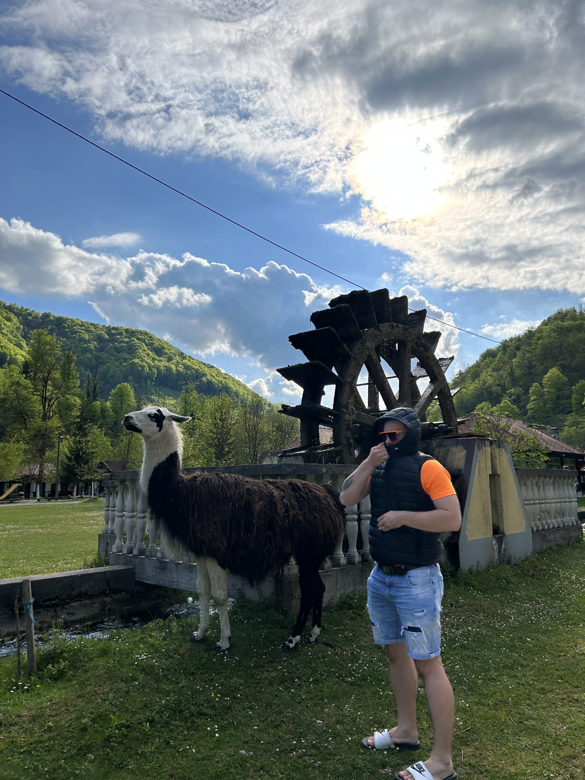 Kad te ljama pljune ali i dalje ju zelis podragati slika