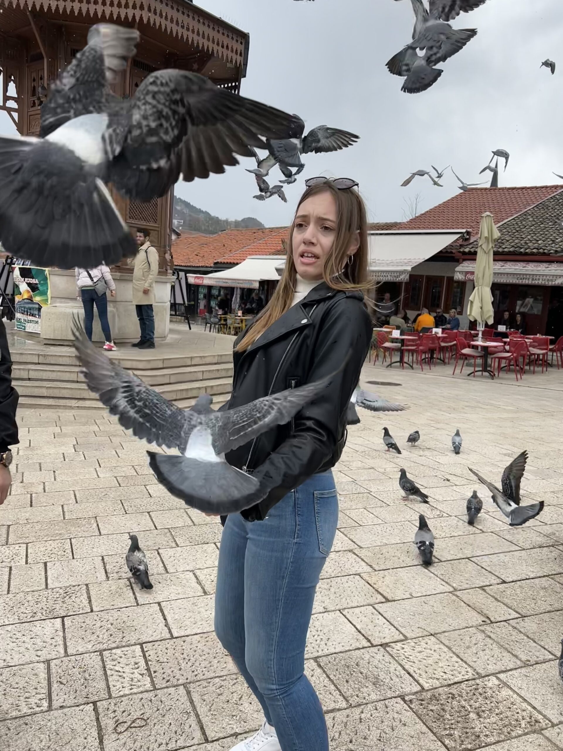 Tko se ne boji ptica, taj ne zna što je strah slika